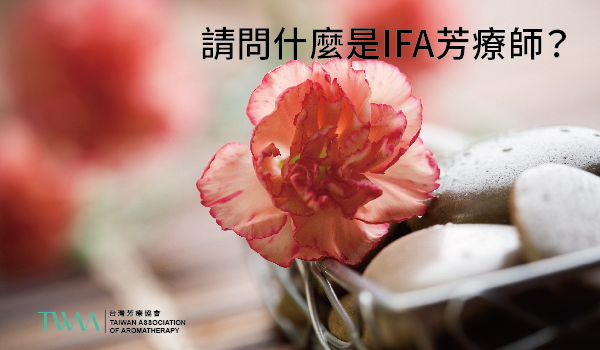 IFA International Federation of Aromatherapists 國際芳香療法治療師聯盟，國際芳療認證系列，IFA國際芳療認證，IFA, International Federation of Aromatherapists, 英國國際芳療師聯盟，IFPA, NAHA, SPA, 乳香, 佛手柑, 化學, 壓力, 大西洋雪松, 天竺葵, 尤加利, 山雞椒, 技法, 按摩, 杜松, 橙花, 檸檬, 永久花, 沒藥, 洋甘菊, 玫瑰, 甜馬鬱蘭, 療程, 白千層, 精油, 絲柏, 芳療師, 茉莉, 萊姆, 葡萄柚, 薄荷, 薑, 薰衣草, 認證, 雪松, 香茅, 馬鬱蘭, TWAA台灣芳療協會