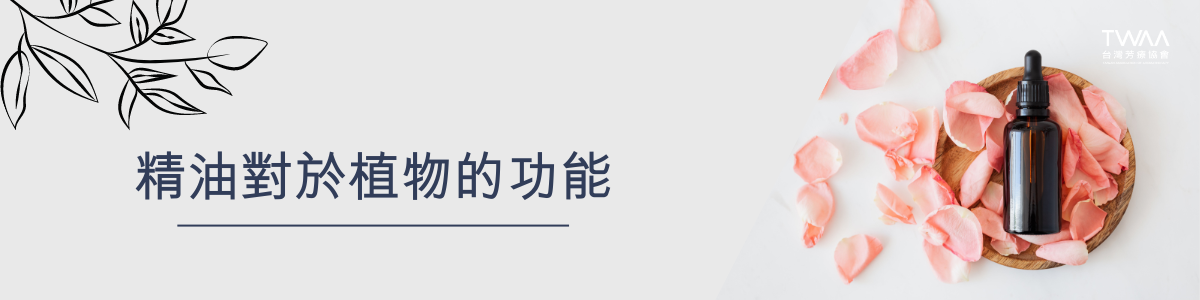 twaa台灣芳療協會_2024年最新40大知名人氣精油品牌專業性評比排名推薦_精油對於植物的功能