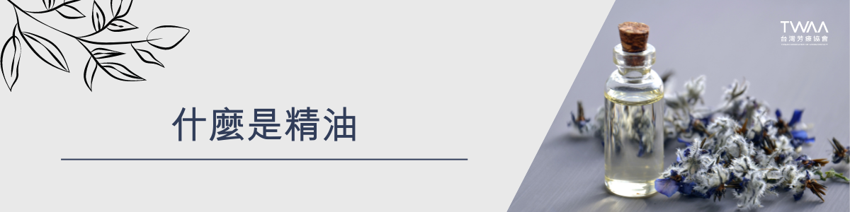 twaa台灣芳療協會_2024年最新40大知名人氣精油品牌專業性評比排名推薦_什麼是精油