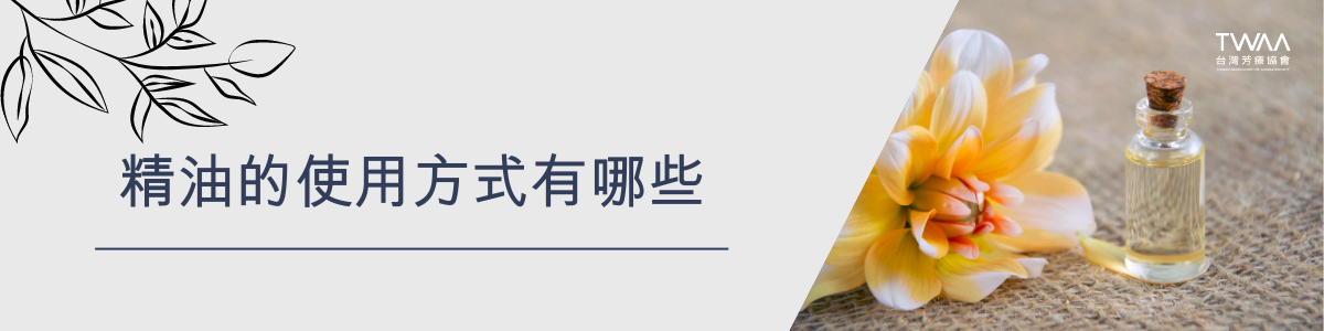 twaa台灣芳療協會_2024年最新40大知名人氣精油品牌專業性評比排名推薦_精油的使用方式有哪些