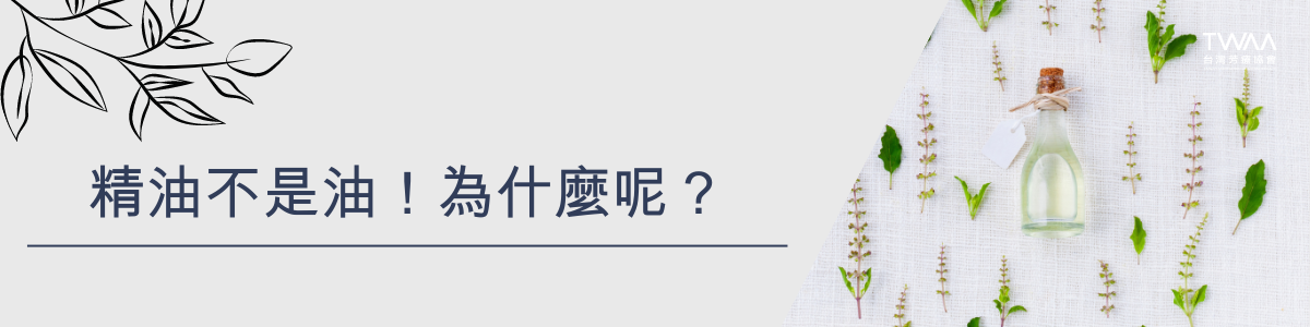 twaa台灣芳療協會_2024年最新40大知名人氣精油品牌專業性評比排名推薦_精油不是油！！為什麼呢