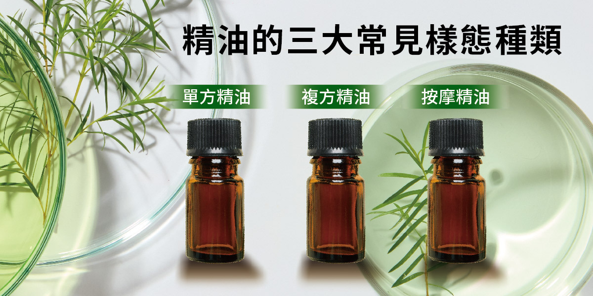 twaa台灣芳療協會_精油是什麼？精油這樣用才安全！7個使用精油時的常見錯誤陷阱！避免踩雷！